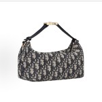 DIOR Travel Nomad series zipper opening and closing Oblique monogram full print clutch medium-sized women\'s blue